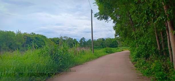 ขายที่ดิน1ไร่-ราคาไร่ละ-290000บาท