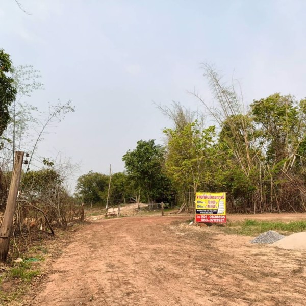 ขายที่ดินทำบ้าน-แปลง-2ไร่-3งาน-16ตรว