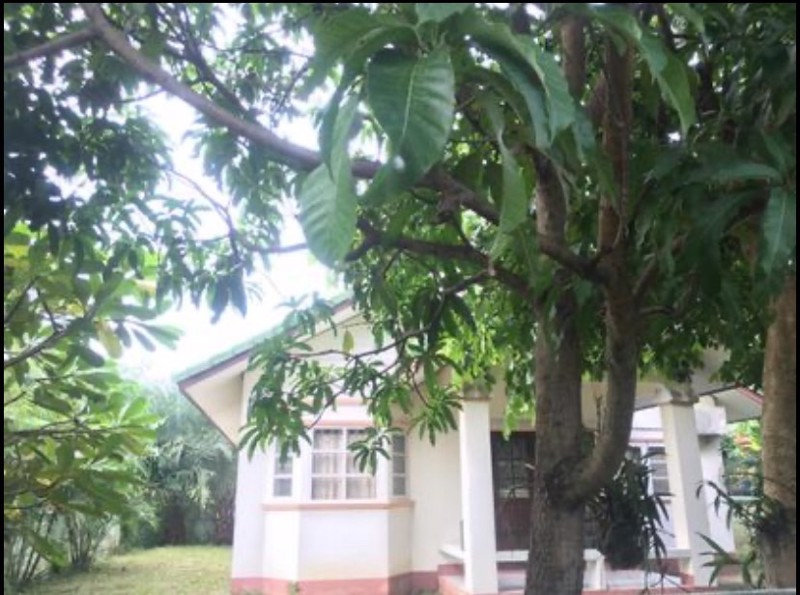 ขายบ้านเดี่ยว 92 ตรว. ปรับราคาลดลงเพียง 2,790,000 ลบ.(เดิมราคา 3.19 ลบ.)