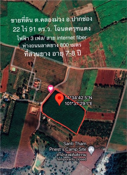 ขายด่วน-ที่ดินสวนยาง-ตคลองม่วง-อปากช่อง-จังหวัด-นครราชสีมา-22ไร่-91ตรวโฉนดครุฑแดง-พร้อมโอน