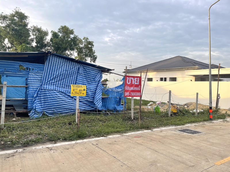 ขายที่ดิน-100ตรว-ซอยบงกช71