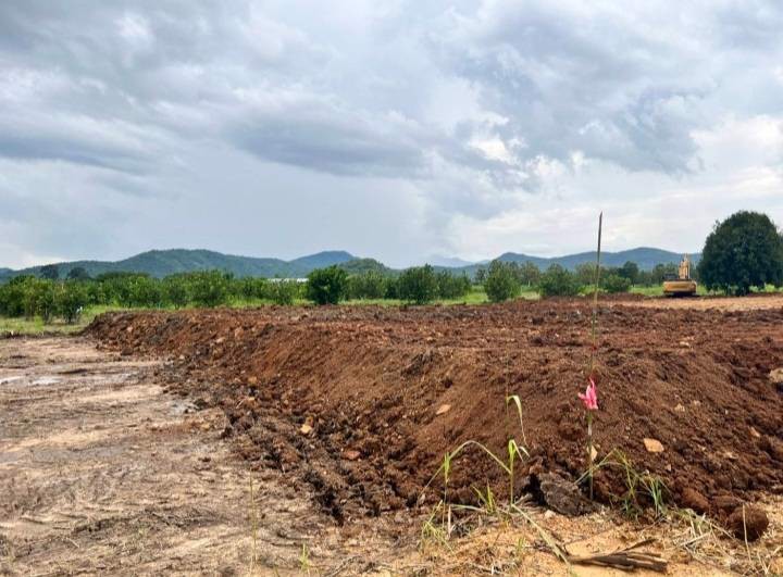 ขายที่ดิน-บ้านห้วยป่าปก-หลัง-รรห้วยป่าปก-