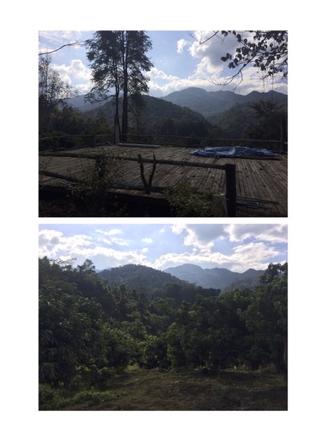 ขายที่ดิน-19-ไร่-ขายยกแปลง-25-ล้าน-ใกล้ไร่ชาลุงเดช-แม่แตง-เชียงใหม่