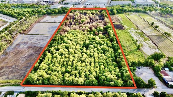 ขายด่วน-ที่ดินโรจนะ-อยุธยา