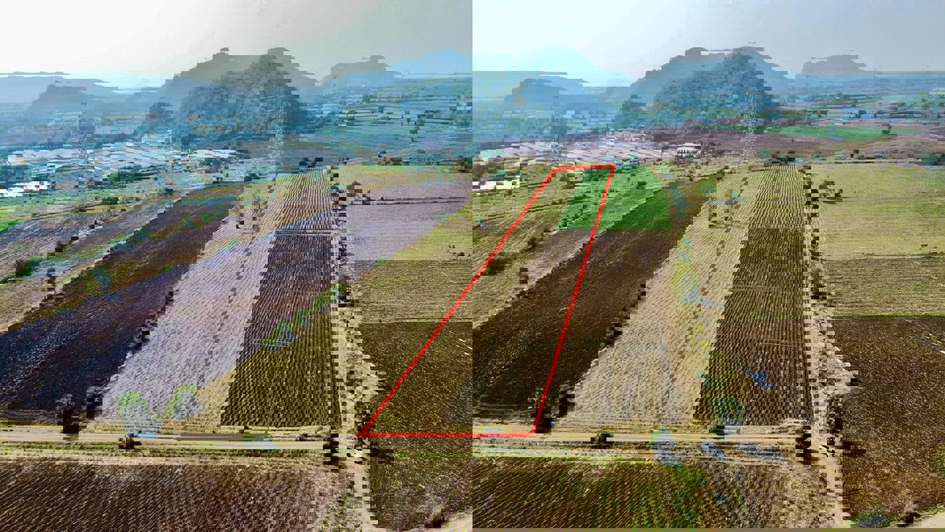 ขายที่ดิน-ตากฟ้า-นครสวรรค์-ราคาถูก-ไม่ถึงแสน-