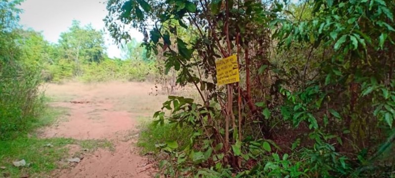 ขายที่ดินทำบ้านเนื้อที่-100-ตรว-ราคา-99000บาท