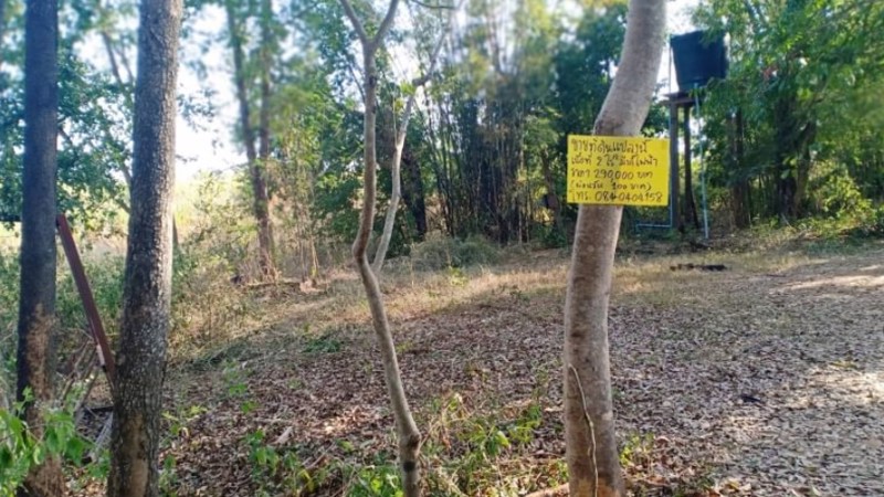 ขายที่ดิน-2ไร่-ราคา290000บาท-ผ่อนวัน100บาท-
