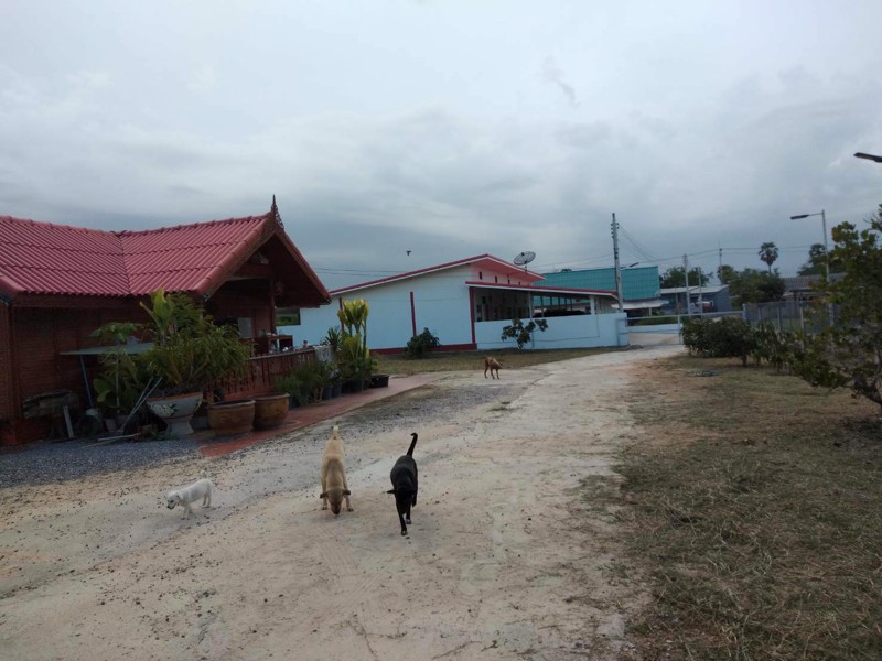 ขายกิจการห้องเช่ารายเดือน ขนาด 5 ห้องมีแอร์ ห้องน้ำทุกห้อง สนง.เป็นบ้านไม้สัก 2 ห้องนอน 3 ห้องน้ำ