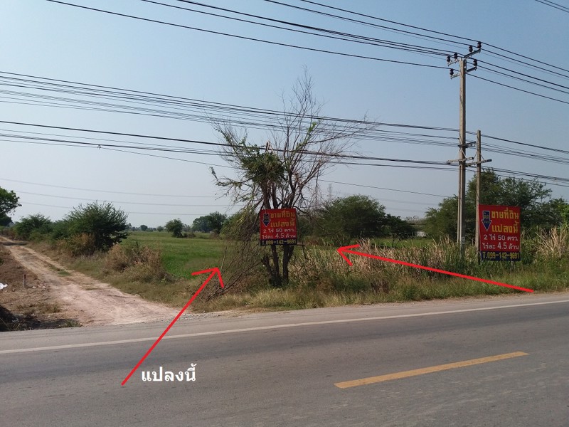 ขายที่ดินติดถนนไทรน้อย-ลาดบัวหลวง-ใกล้-พิพิธภัณฑ์ไฮเนเก้น-ไทรน้อย-นนทบุรี