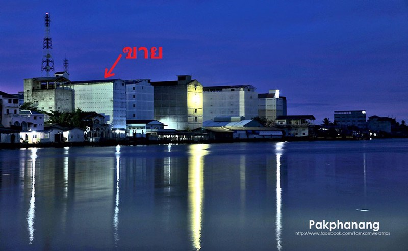 ขายตึกนกนางแอ่นพร้อมที่ดินติดแม่น้ำปากพนังและติดถนนพานิชสัมพันธ์