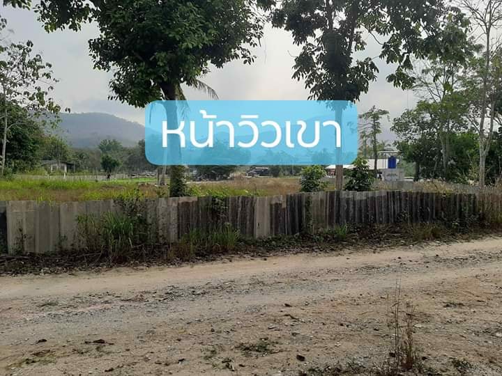 ps008-ขายที่ดินใกล้แหล่งท่องเที่ยว-บรุ๊คไซค์วัลเล่-ราคาถูกมาก-