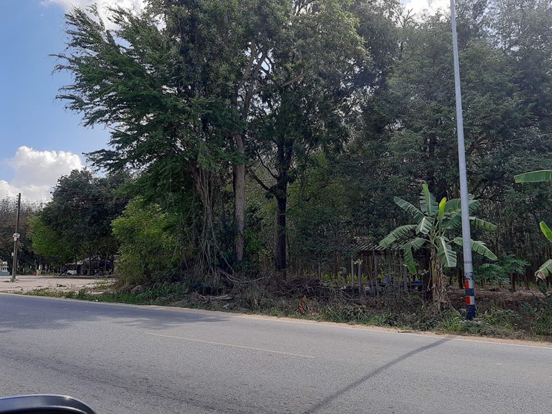 ขายที่ดินสวยทำเลเยี่ยม-สร้างโรงงาน-โกดัง-ได้-ติดถนน-นิคมสาย11