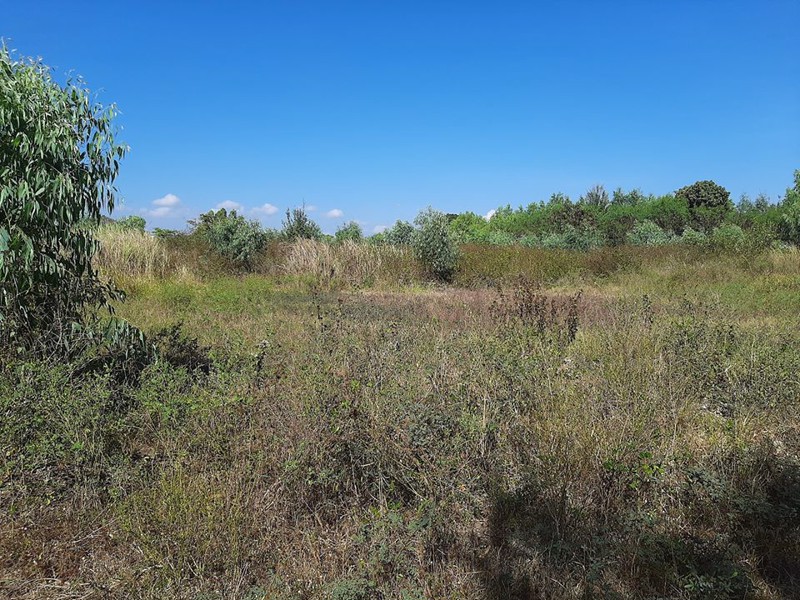 ขายที่ดินระยองราคาถูกสุดๆ-ตเนินพระ-ใกล้แหล่งความเจริญ