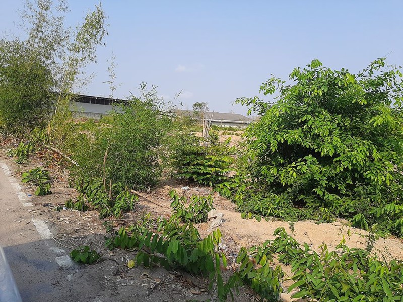 ที่ดินหลังโกลบอลเฮ้าระยอง15-ไร่ต้องการขาย-อยู่ทำเลที่ดี