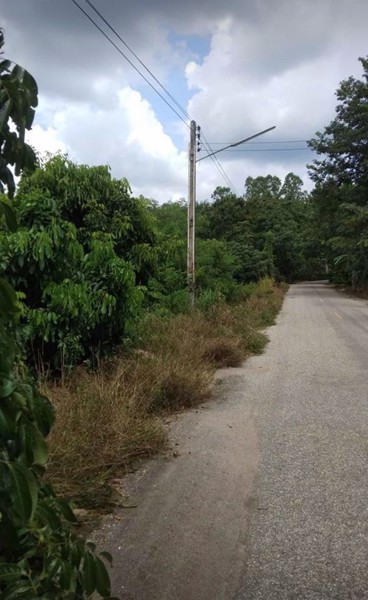 ขายที่สวนสวยๆ-ท่านใดอยากมีสวนแปลงนี้เลย-ใกล้โรงเรียนกำเนิดวิทย์-วังจันทร์-ระยอง