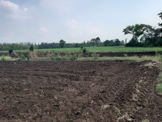 ขายที่ดิน-ถมไแล้ว-12-2-9-ไร่-บ้านมอดินแดง-ตคลองกระจัง-อศรีเทพ-เพชรบูรณ์-เจ้าของขายเอง