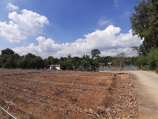 ขายที่ดิน-7-ไร่กว่า-ติดริมแม่น้ำแควน้อย-ถมแล้ว-รอบรั้วรอบพื้นที่-ตเกาะสำโรง-กาญจนบุรี