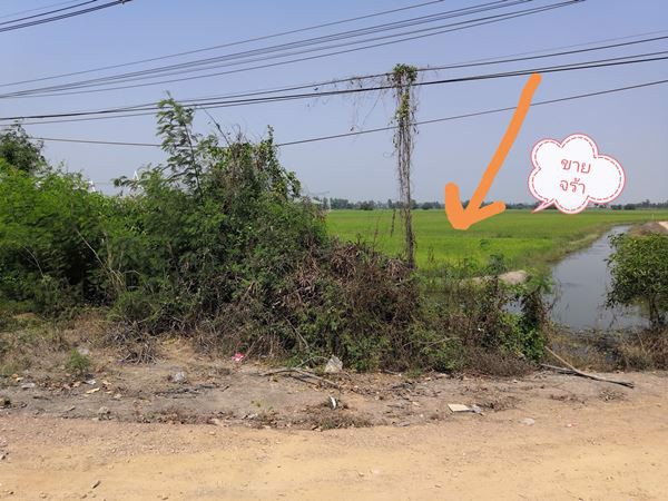 ขายที่ดินเปล่าขนาด-12-ไร่-ตโพธิ์เเตง-อบางไทร-จอยุธยา-ใกล้จุดขึ้นลงทางด่วนบางปะอิน