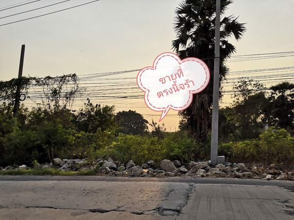 ขายที่ติดถนนเลียบคลองเปรม-2-ไร่-ไร่ละ-85-ลบ-วิ่งจากที่ดิน-20-นาที-ถึงธรรมศาสตร์รังสิต