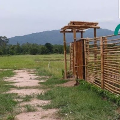 ขายที่ดินนครนายก-ลดแล้วลดอีก-ด่วน-100-ตรว-ใกล้โรงเรียนเตรียมทหาร-ถนนวังไทร