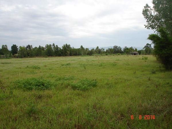 ขายที่ดิน-มีโฉนดพร้อมบ้านพัก-และสระน้ำ-เหมาะสำหรับทำการเกษตร-อชุมแพ-ขอนแก่น