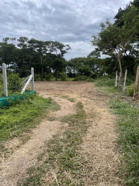 ขายที่ดิน-100-ตรว-ตต้นโพธิ์-อเมือง-จสิงห์บุรี