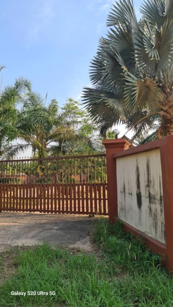 ด่วนขายที่ดินราคาถูก-พร้อมสิ่งปลูกสร้าง-สวนผสม