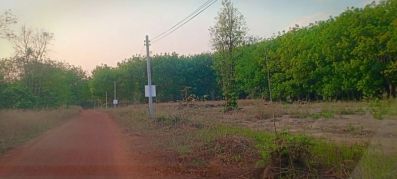 ขายที่ดิน-200-ตรว-ราคา3-แสน