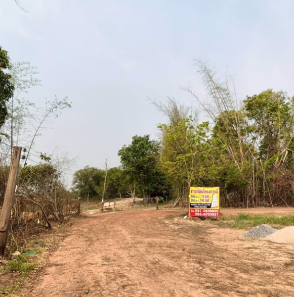 ขายที่ดินทำบ้าน-แปลง-2ไร่-3งาน-16ตรว-ราคา690000บาท