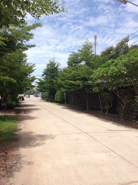 ขายที่ดินแปลงสวยราชบุรีครับ-ใกล้อบต-เขตเทศบาล-ตรงข้ามตลาดนัดวัดแจ้งเจริญ-อำเภอวัดเพลง-จังหวัดราชบุรี