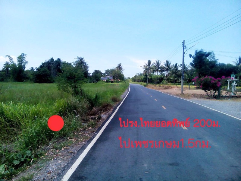 ขายที่ดินโฉนดติดถนนลาดยาง-300ตรว-สามร้อยยอด-จังหวัดประจวบ-1200000-บาท
