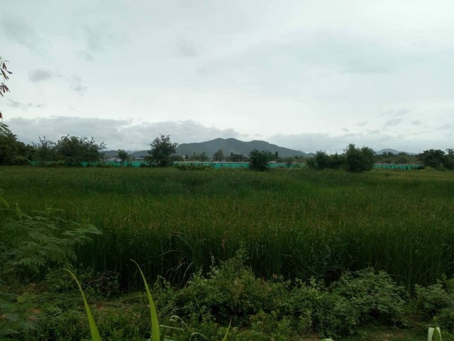 ขายที่ดิน-ไร่ละ-750000-บาท-ปราณบุรีประจวบ-เนื้อที่-4-ไร่-1-งาน-อยู่ในเขตเทศบาลขายต่ำกว่าราคาประเมิน