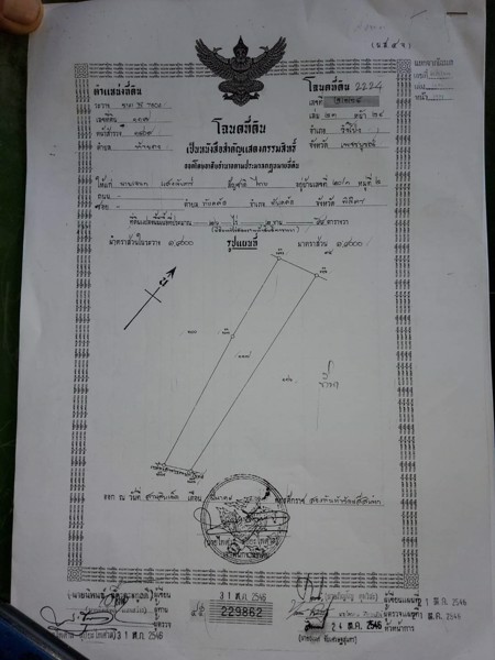 ขายที่นา-26-ไร่เศษ-ตท้ายดง-อวังโป่ง-จเพชรบูรณ์