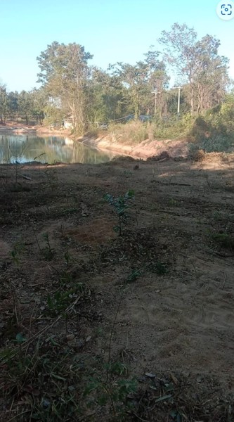 ขายที่ดิน-251ตรว-ราคา-690000บาท-ผ่อนได้-