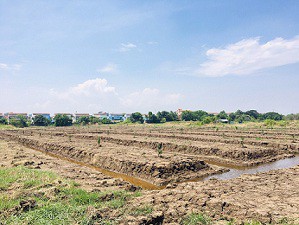 ขายที่ดินเปล่า-2-ไร่-อยู่ในซอยเทศบาลบางปู-83-ติดกับหมู่บ้านสิวารมย์