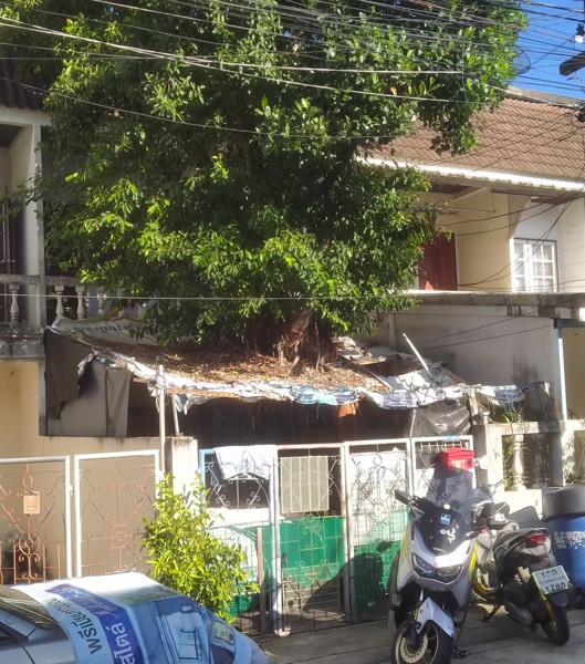 ทาวน์เฮ้าส์ให้เช่า-ทาวน์เฮ้าส์-2-ชั้น-26-ตรว-แยกศรีเทพา-ถนนเทพารักษ์