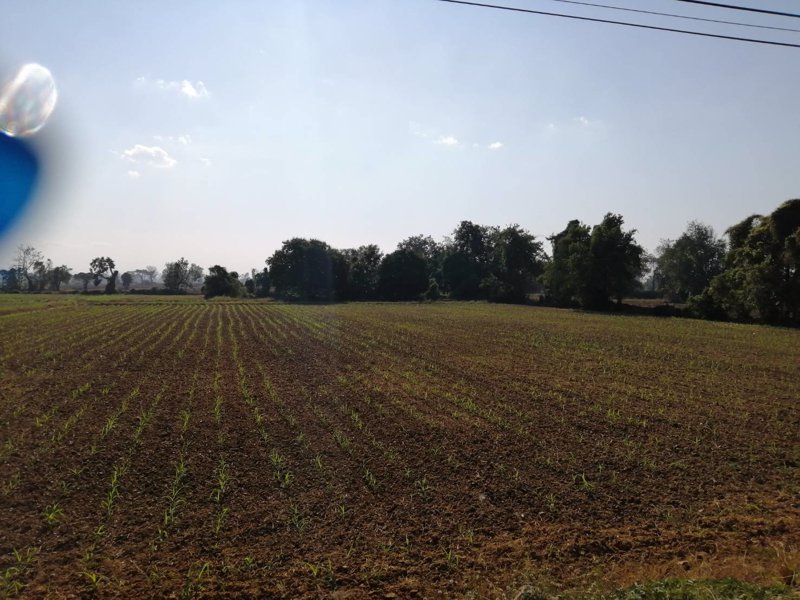 ขาย-ที่ดินทำเลดี-ติดถนน-4-เลน-เหมาะสำหรับทำธุรกิจ-ราคาถูก-อำเภอพิชัย-จังหวัดอุตรดิตถ์