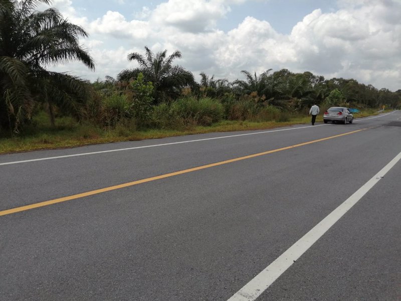 ขาย-ที่ดิน-แปลงใหญ่-ติดถนนดำ-ชะอวดนครศรีฯ-เหมาะสำหรับทำการเกษตรหรือสร้างโรงงาน-อำเภอเฉลิมพระเกียรติจ