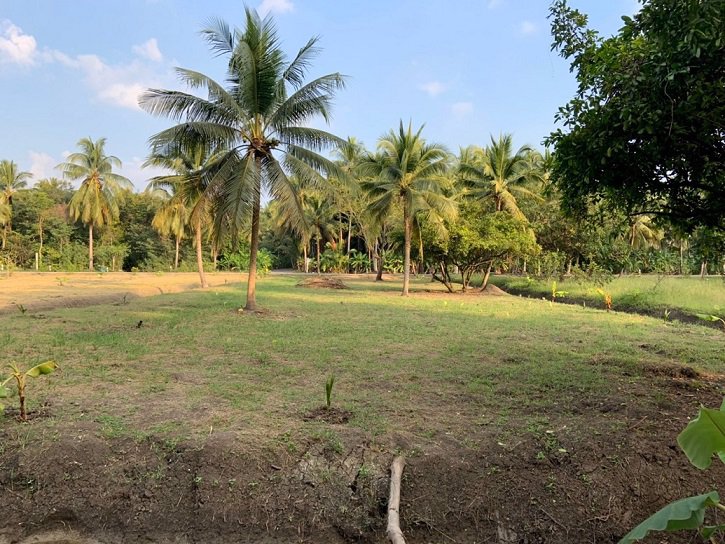 แบ่งขาย-ที่ดินสวย-ใกล้ตลาดน้ำดำเนินสะดวกระยะทาง-5-กม-และห่างจากตลาดน้ำอัมพวา-10-กมจังหวัดสมุทรสงคร