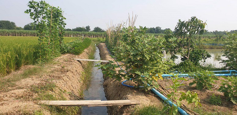 ขาย-ที่ดิน-อำเภอท่าม่วง-เมืองท่องเที่ยว-เมืองกำลังเจริญรองรับการเปิดใช้และอยู่ใกล้ทางด่วนมอเตอร์เวย์