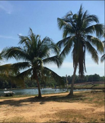 ขาย-ที่ดิน-พร้อมสิ่งปลูกสร้าง-ติดทะเล-เป็นทำเลอยู่อาศัย-บรรยากาศดี-ใกล้แหล่งท่องเที่ยวทางทะเล-เมืองต