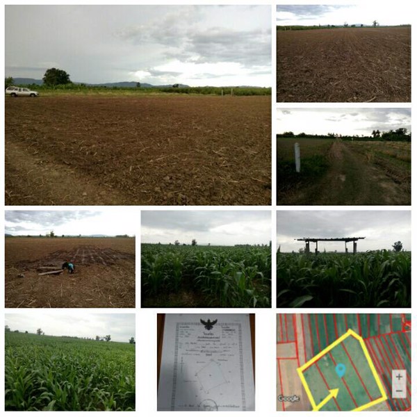 ขาย-ที่ดิน-ทำเลสวย-บรรยากาศดี-เหมาะสำหรับทำการเกษตร-หรือปลูกสร้าง-อำเภอสามเงา-จังหวัดตาก
