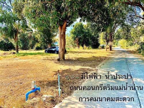 ขาย-ที่ดินสวยริมแม่น้ำน่าน-ทำเลดี-ติดถนนคอนกรีต-ราคาถูก-ขนาดเนื้อที่-253-ตารางวา-เมืองพิษณุโลก
