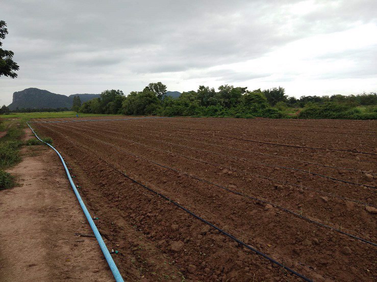 ขาย-ที่ดินทำเลสวย-ใกล้ถนน-3209-เป็นเส้นหลักไป-แยกยางเกาะ-อำเภอด่านมะขามเตี้ย-จังหวัดกาญจนบุรี