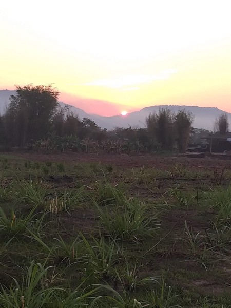 ขาย-ที่ดินทำเลดี-ติดถนน-ติดแหล่งชุมชน-อำเภอปากช่อง-จังหวัดนครราชสีมา