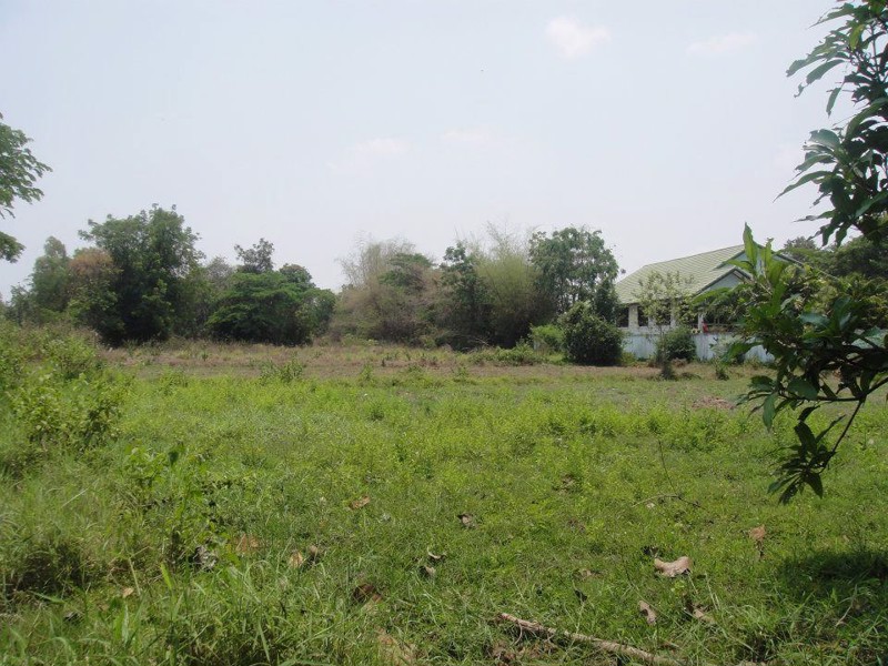 ขายที่ดินเปล่า17ไร่1งานทำเลดีติดถนนสาธารณะน้ำ-ไฟ-โทรศัพท์เข้าถึงอยู่ภายในแหล่งชุมชนอเมือง-จขอนแก่น