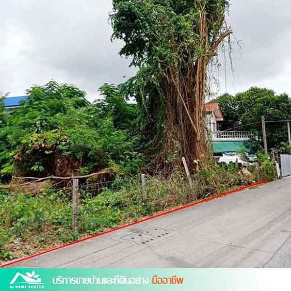 ขายที่ดินเปล่า161ตรว-ซเสรีไทย46-หน้ากว้าง25มตร-ถมแล้ว-ขายเกือบเท่าราคาประเมิน