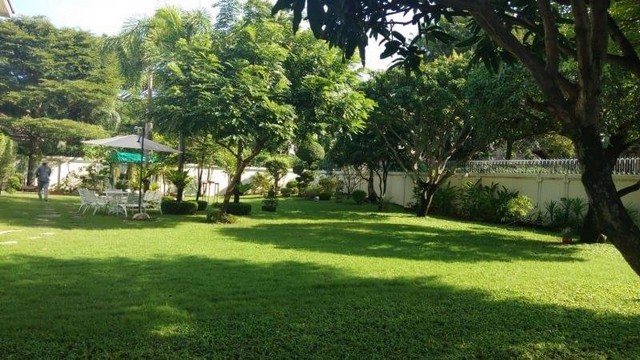 62034-ขายที่ดินหายาก-หลังห้างพาราไดซ์-พาร์ค-เนื้อที่-1267-ตรว-สังคมคุณภาพ-เพื่อนบ้านดี