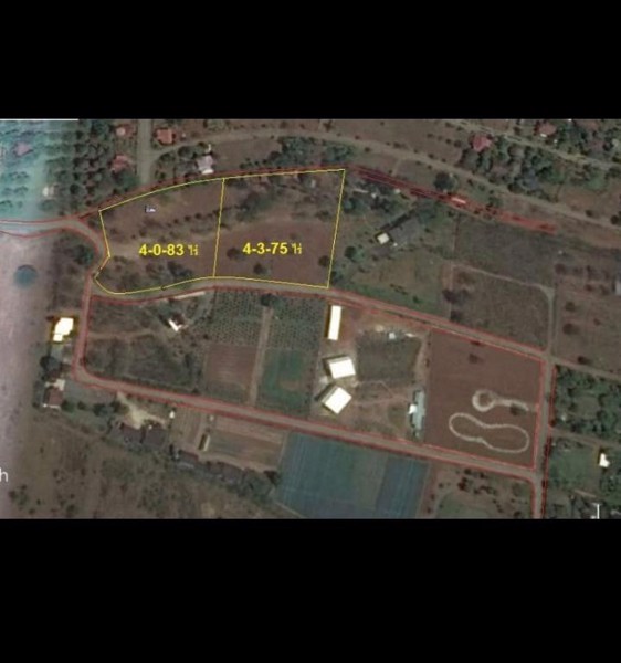 ขายที่ดินเขาใหญ่-9-ไร่-บนถนนธนะรัตน์-โคราช-ที่ดินพร้อมสร้างทำรีสอร์ท-คอนโดได้