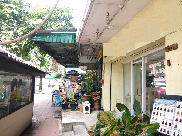 ขายอาคารพาณิชย์-2-คูหา-ริมถนนเพชรเกษม-ใกล้-bts-ไฟฟ้าสายสีน้ำเงิน-สถานีบางแค-150-เมตร-2โฉนดรวม-24-ตรว